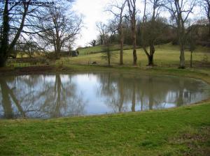 Saddlescombe pond