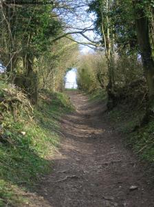 The path out of Saddlescombe