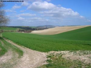 View from Balmer Down