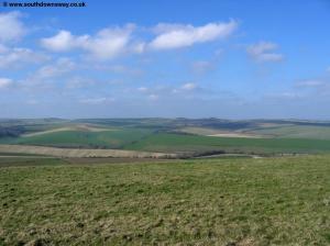 View near Newmarket Plantation