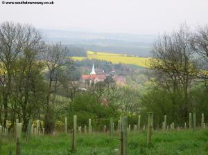 South Harting from Harting Downs