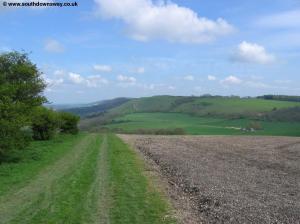 View towards Buriton Farm