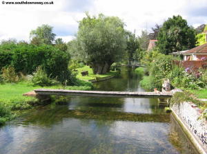 The River Meon in Exton