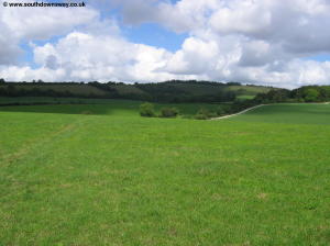 The South Downs Way climbs out of Exton