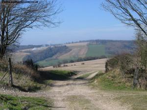 View near Sutton Down