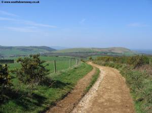 The path near Pyecombe