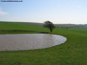 A dew pond