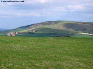 The view near Long Burgh