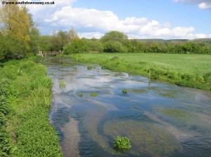 The river Meon